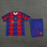 2024/25 BA Training Jersey(A Set)