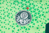 2024/25 Palmeiras Green Training Tracksuit