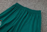 2025 Palmeiras Green Sweater Tracksuit