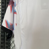 2024 Japan Special Edition Fans Soccer Jersey