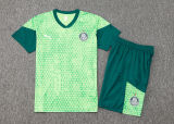 2024/25 Palmeiras Green Training Tracksuit