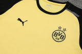 2024/25 BVB Yellow Training Jersey(A Set)