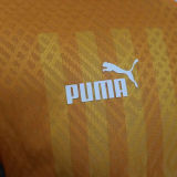 2022/23 Ivory Coast Home Orange Player Version Jersey （3 stars 三星）