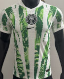 2025/26 Nigeria Home Player Version Soccer Jersey