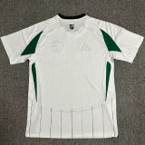 2024/25 Schalke 04 Away Fans Soccer Jersey