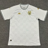2025 Tunisia Training Soccer Jersey 突尼斯