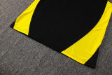 2025/26 BVB  Black Vest Training Jersey(A Set)