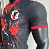 2025 Japan Special Edition Player Version Jersey