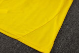 2025/26 BVB  Yellow Vest Training Jersey(A Set)