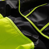 2025 AD~  Windbreaker