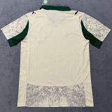 2025/26 Palmeiras Third Fans Soccer Jersey