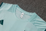 2025/26 Cruzeiro Light Green Vest Training Jersey(A Set)