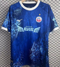 2025 Hansa Rostock Special Edition Fans Soccer Jersey