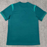 2025/26 Nigeria Away Green Fans Soccer Jersey