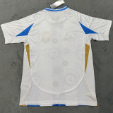 2025 Argentina Special Edition  Fans Soccer Jersey
