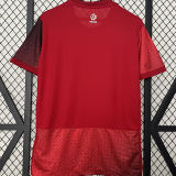 2024/25 Poland Away Red Fans Soccer Jersey
