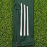 2025/26 Algeria Green Sports Trousers 墨绿
