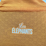 2022/23 Ivory Coast Home Orange Player Version Jersey （3 stars 三星）