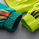 2025 AD~  Windbreaker