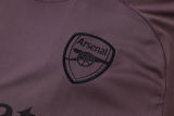 2025/26 ARS Grey Purple Training Jersey(A Set)