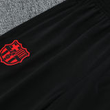 2025 BA Hoody Zipper Jacket Tracksuit