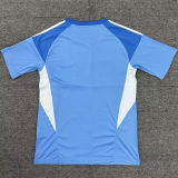 2025/26 Newcastle Blue GK Fans Soccer Jersey