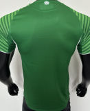 2025/26 Newcastle Away Green Player Version Soccer Jersey