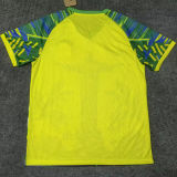 2025/26 Brazil Special Edition Fans Soccer Jersey