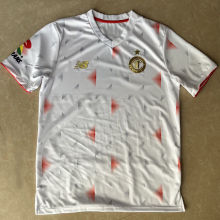 2025/26 Deportivo Toluca Away Fans Soccer Jersey 托卢卡