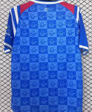 2025/26 FC Hansa Rostock Home Fans Soccer Jersey