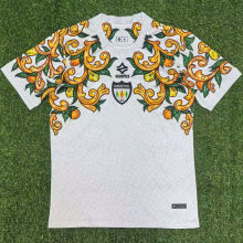 2025/26 Sorrento FC Away Fans Soccer Jersey   索伦托