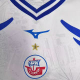 2025/26 FC Hansa Rostock Away Fans Soccer Jersey