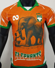 2026 Cameroon Orange Special Edition Player Version Soccer Jersey