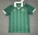 2025/26 Plymouth Argyle Home Green  Soccer Jersey