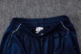 2025/26 Al Nassr Baby Blue Sweater Tracksuit