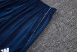 2025/26 Al Nassr Baby Blue Sweater Tracksuit