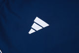 2025/26 Al Nassr Baby Blue Training Jersey(A Set)