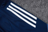 2025/26 Al Nassr Baby Blue Training Jersey(A Set)