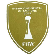 FAFA INTERCONTINENTAL CHAPMIONS 2024  世俱杯金杯黄马用 (You can buy it alone OR tell us which jersey to print it on. )