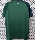 2026/27 North Ireland Home Green Fans Soccer Jersey