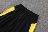 2026 BVB Yellow Vest Training Jersey (A Set)