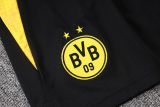 2026 BVB Yellow Vest Training Jersey (A Set)