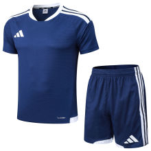 2026 AD Royal Blue Training Jersey (A Set)
