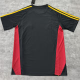 2025/26 Roma Special Edition Fans Soccer Jersey
