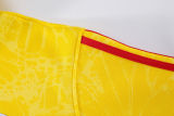 2026/27 Colombia Yellow Hoody