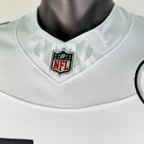 PICKENS #14 Men's Pittsburgh Steelers NFL Jersey 钢人
