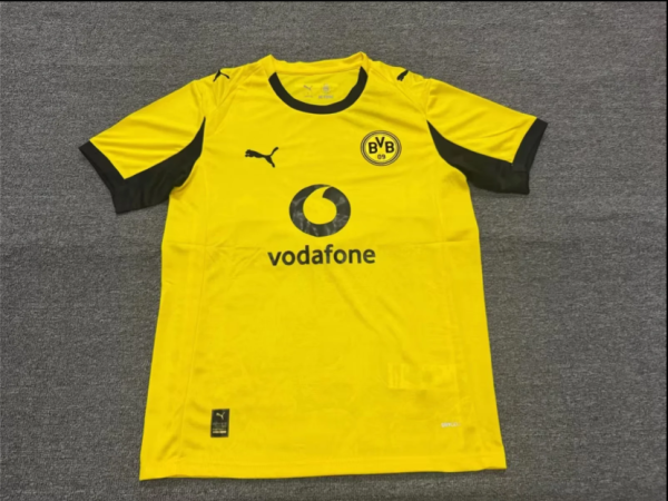 2025/26 BVB Special Edition Yellow Fans Soccer Jersey