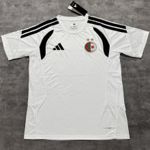 2026/27 Algeria Special Edition Fans Soccer Jersey