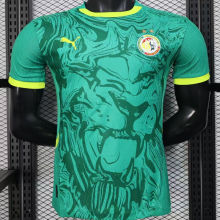 2025 Senegal Away Green Player Version Jersey 2 Stars  2星