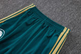 2026/27 Saudi Arabia Green Jacket Tracksuit